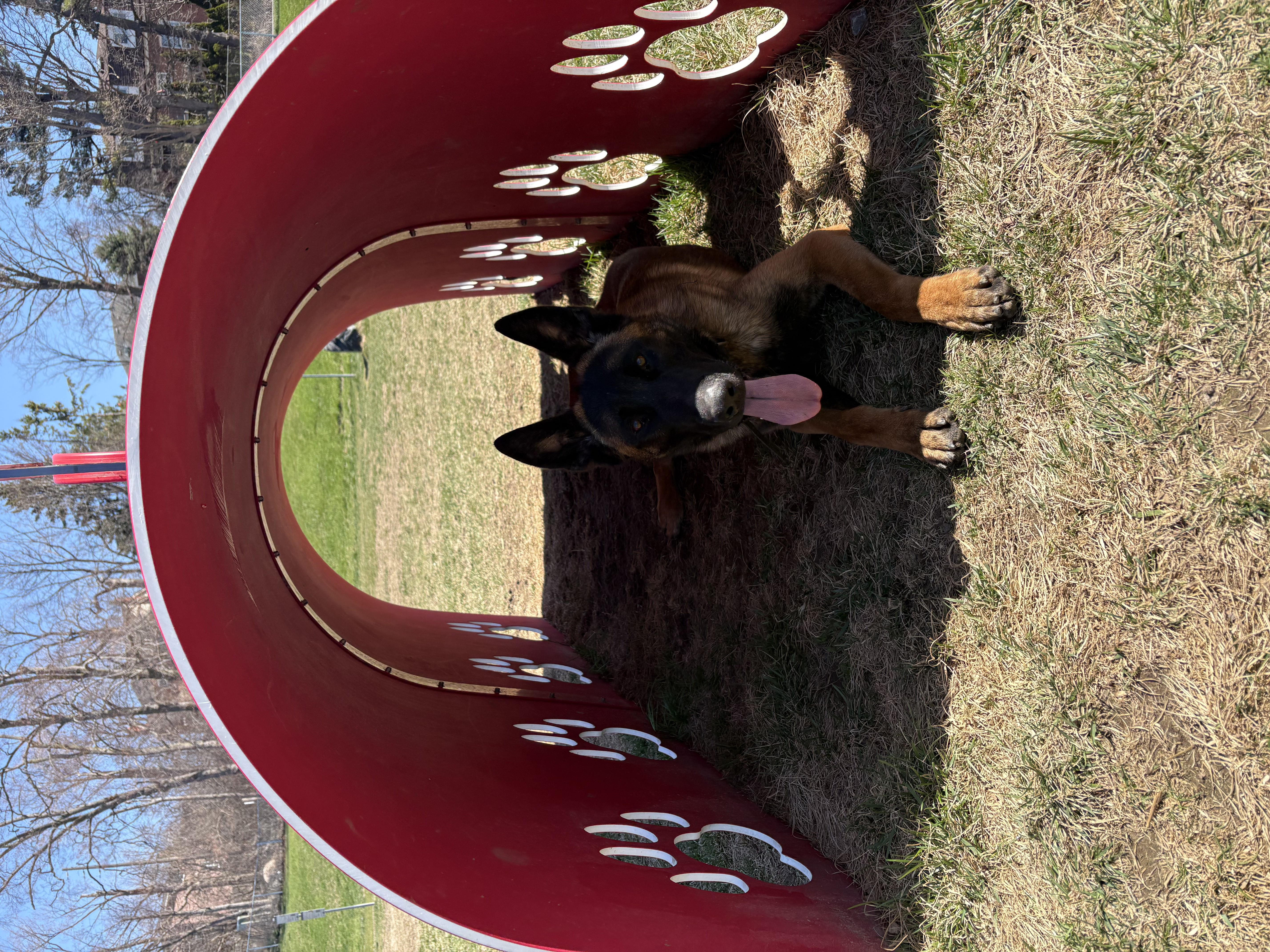 Agility Training